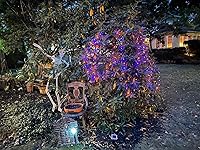 Review Image by C Shaeffer C Shaeffer