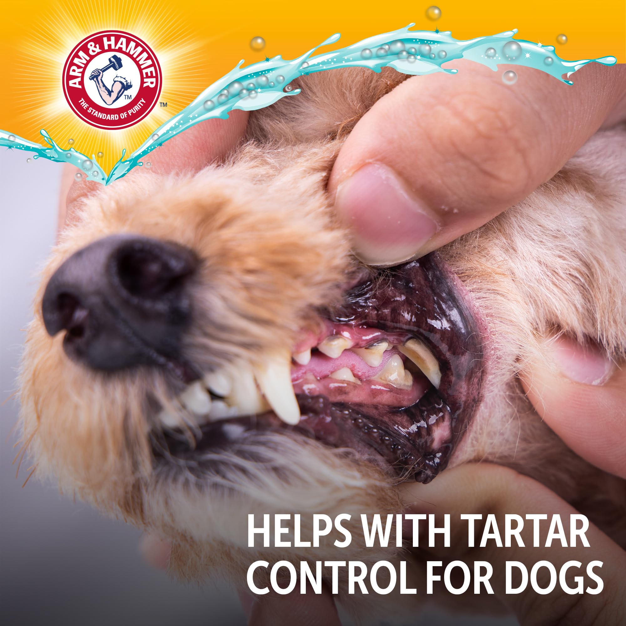 Arm & Hammer Complete Care Dog Dental Spray, Mint Flavor, Easy Brushless Dog Breath Freshener, Baking Soda Enhanced Formula for Fresh Dog Breath, 6oz - 2 Pack - image 8