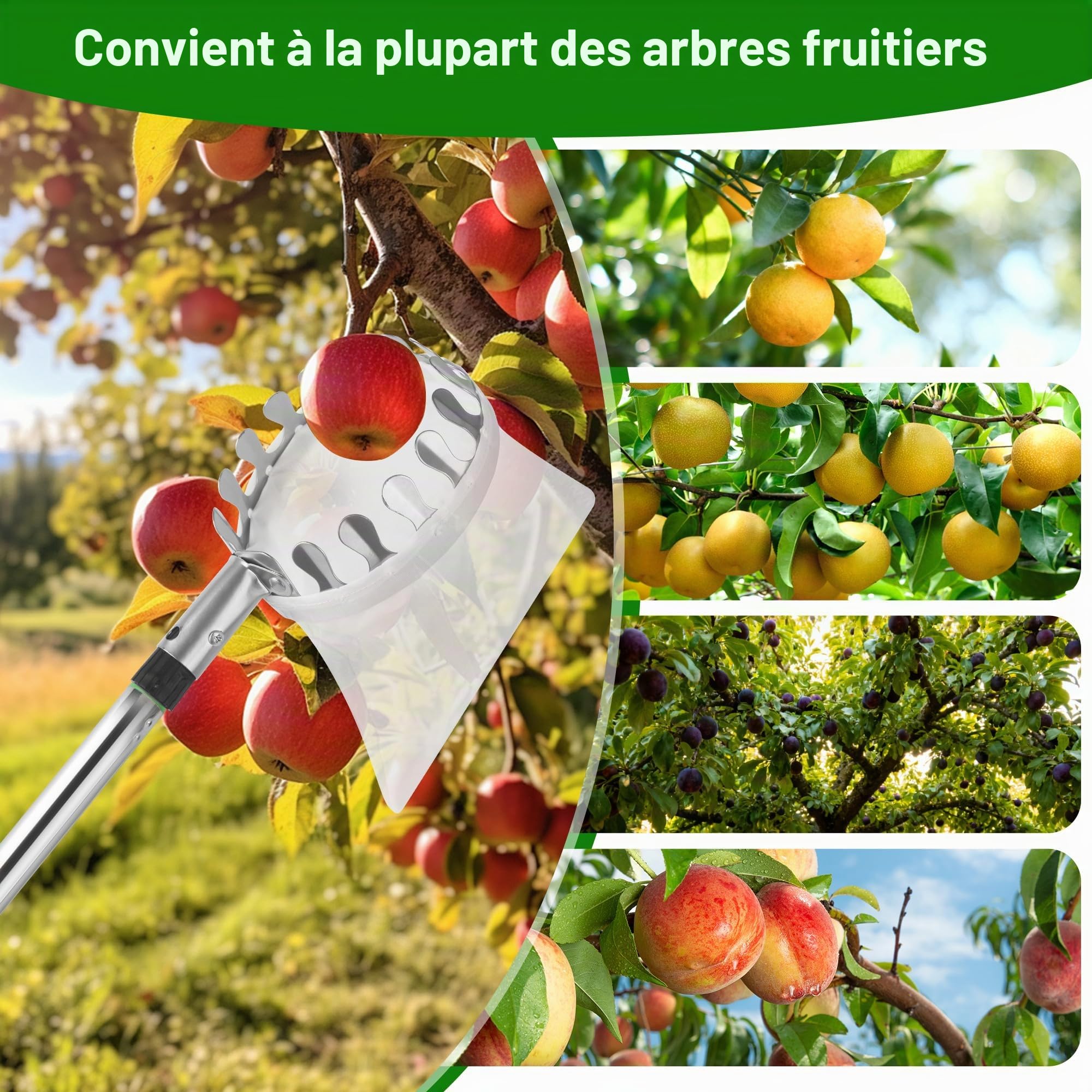 Cueille-Fruits, cueille-Pommes, cueille-Fruits 4 m, Facile à Monter, cueille-Fruits, cueille-Cerises pour poires, Agrumes, Oranges, diamètre 16 cm