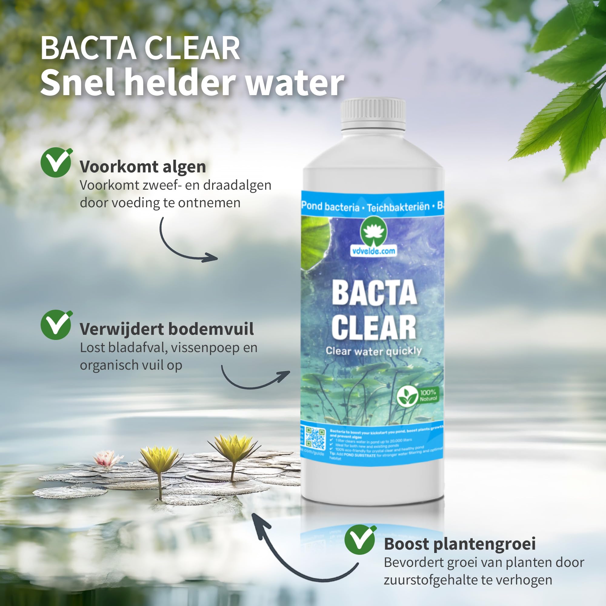 vdvelde - Pacchetto Piante Ossigenanti 500-1.250L - Piante Laghetto - Acqua Limpida - Anti Alghe - Resistente - Bio - Per Pesci