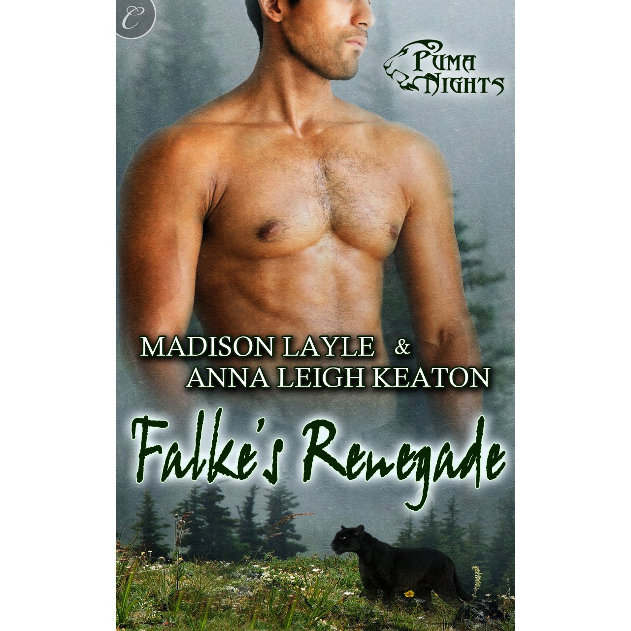 Cover art for Falke's Renegade