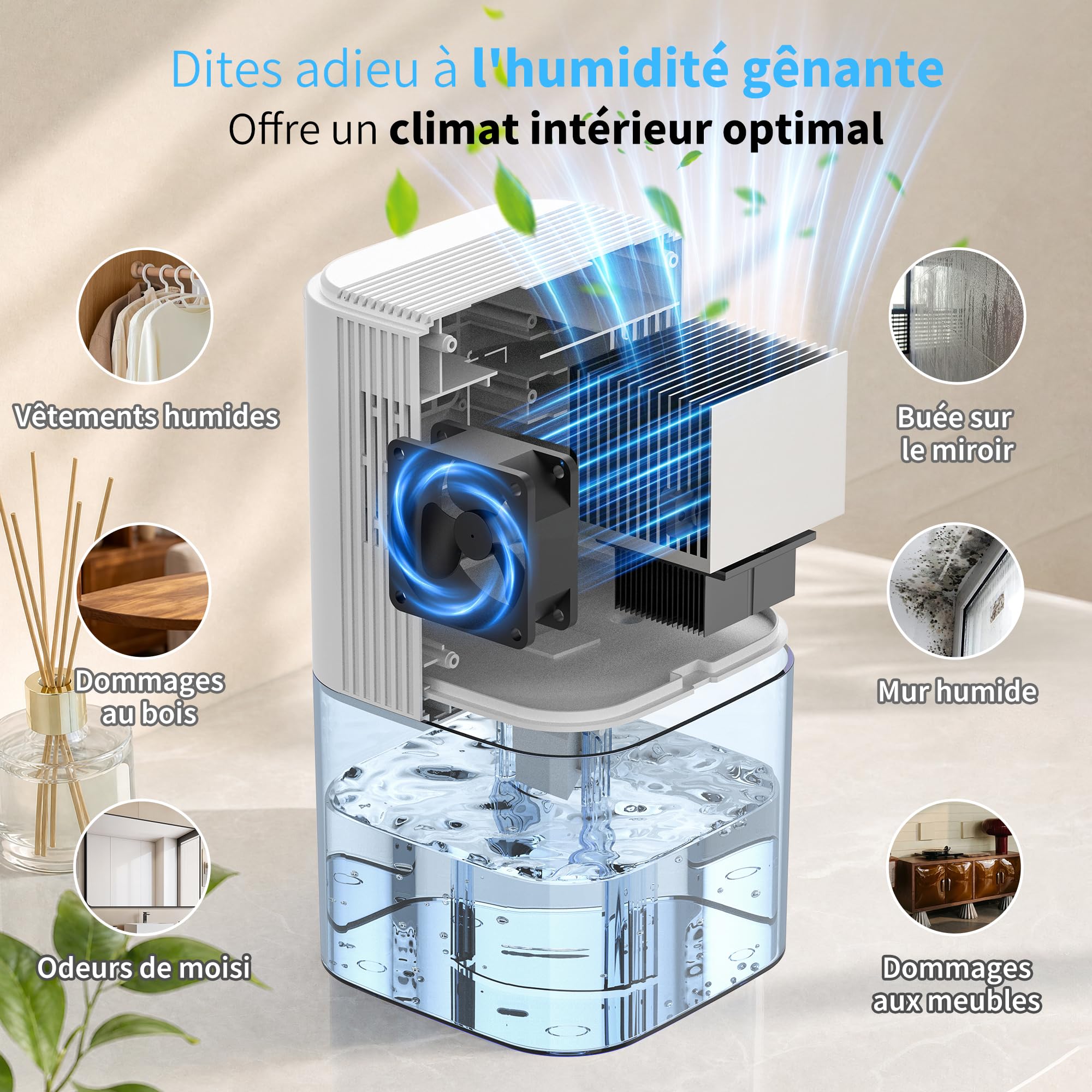 Déshumidificateur d'Air Électrique 1700 ml