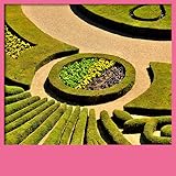 Cool Application And Games