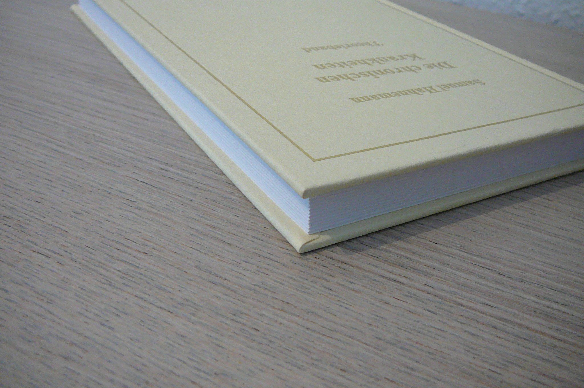 Die chronischen Krankheiten: Theorieband