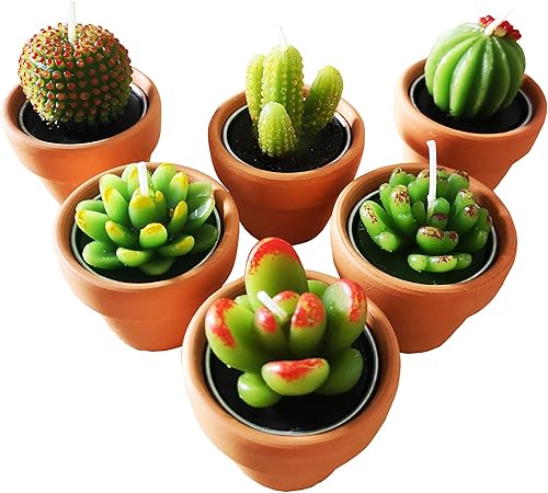 18 piezas de decoración de fiesta de cactus, regalos de fiesta bohemia, velas suculentas a granel para baby shower, regalos de agradecimiento, velas
