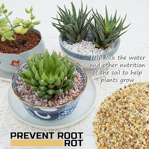 Miniatura 2 de Cubierta de suelo para bonsái, suelo para macetas de cactus y tierra suculenta, arena gruesa, guijarros pequeños para plantas, acuario, grava, rocas