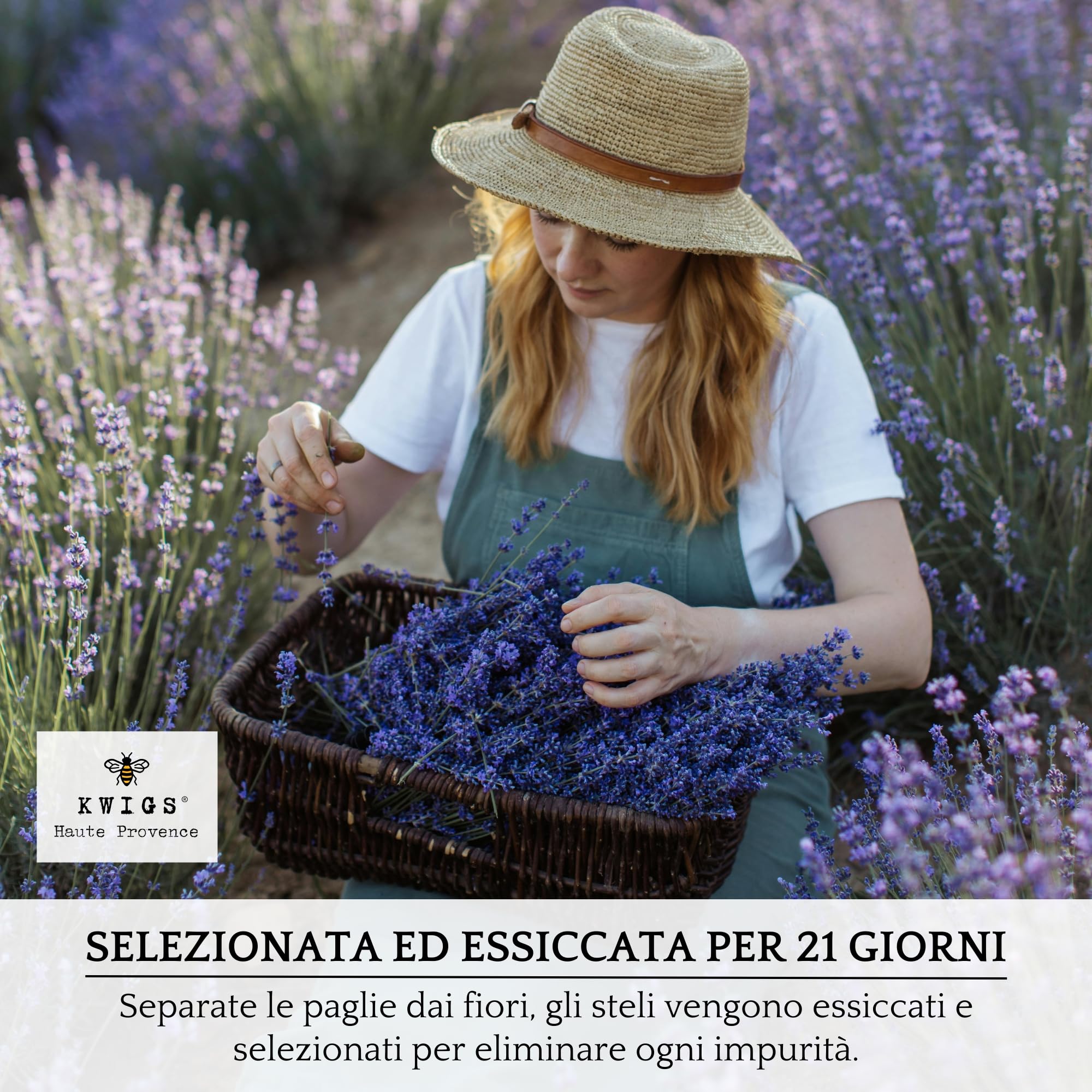 Sacchetto di lavanda in iuta foderata – 12 sacchetti color lavanda senza OGM riempiti a mano – piccola borsa per armadi, biancheria, armadio – fiori di alta Provenza – nuova raccolta