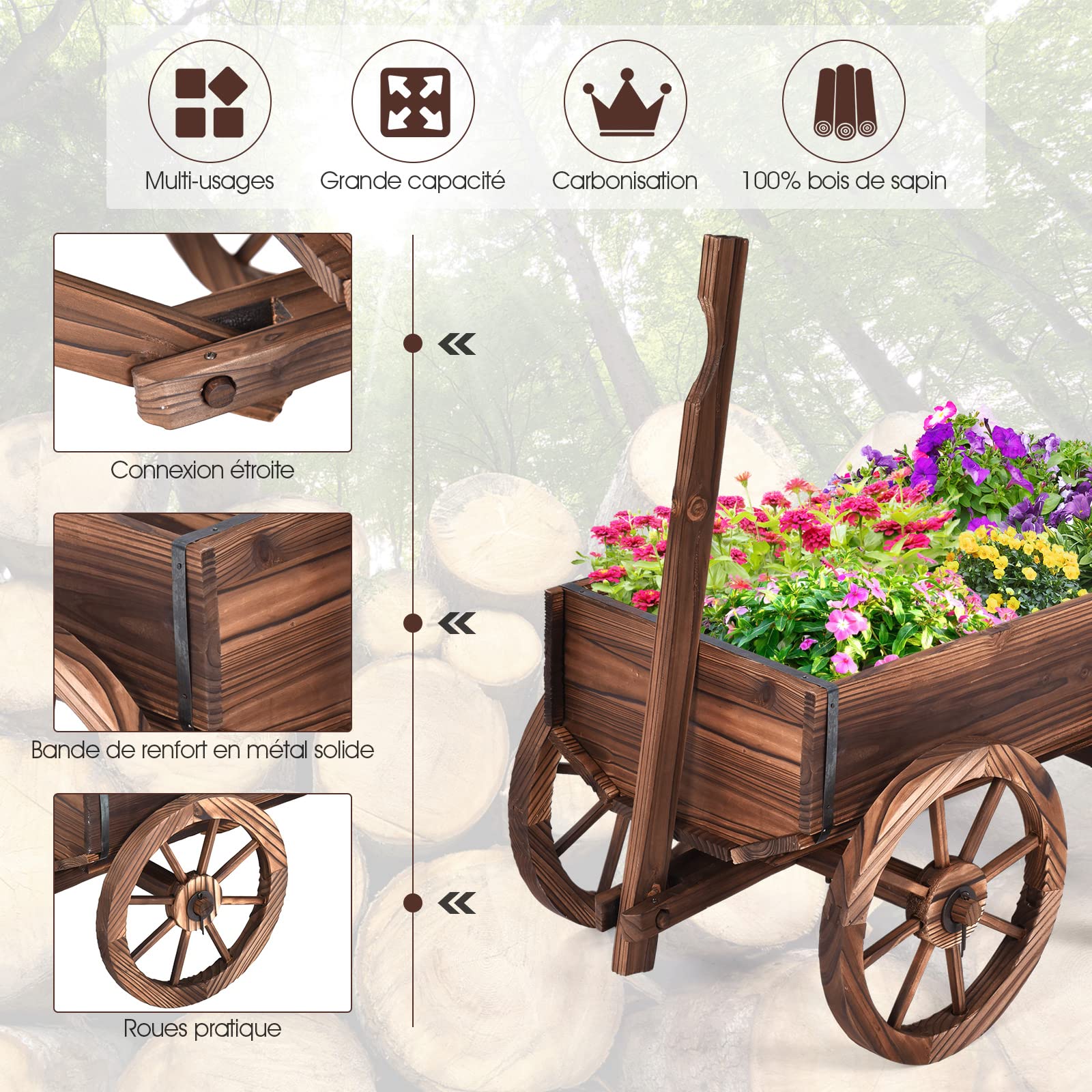 RELAX4LIFE Brouette à Fleurs en Bois Carbonisé Anti-Humidité