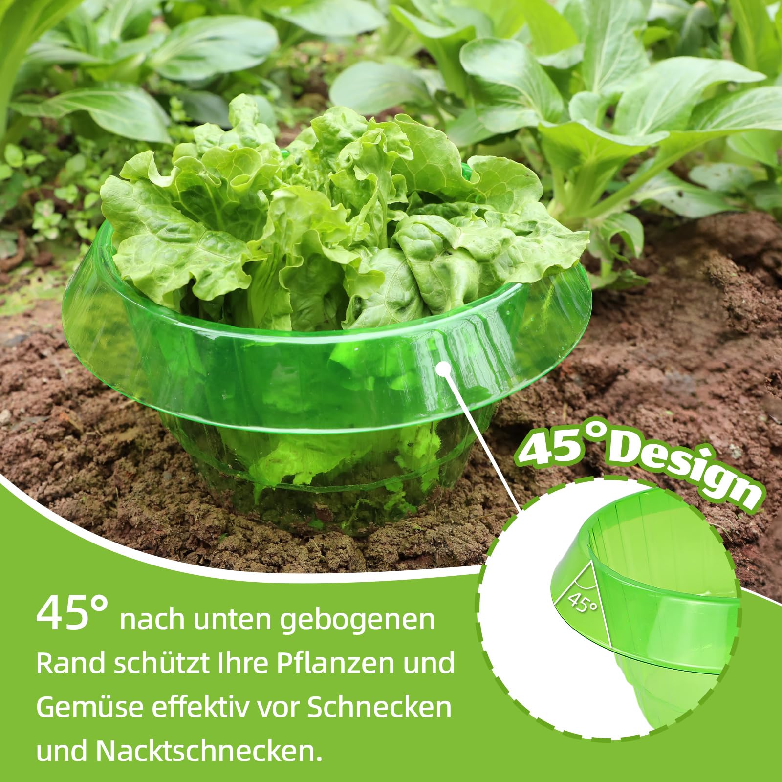 Schneckenkragen, 24 Stück Schneckenschutzringe, Effektiver Schneckenschutz für Salat und Kohl, Schneckenkragen aus Robustem Kunststoff, Wiederwendbare Schneckenabwehr für Gartenpflanzen