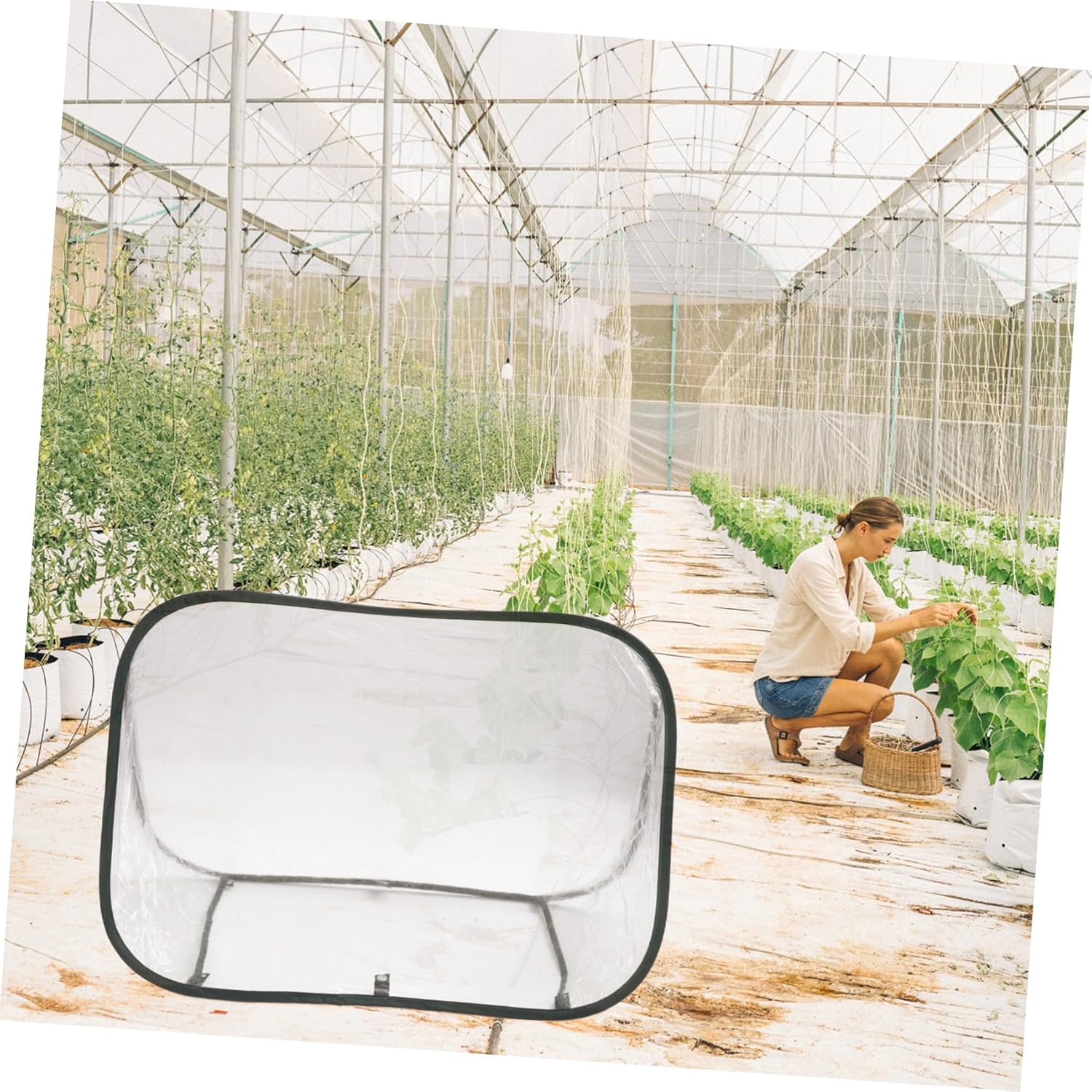 Generic Foldable Mini Greenhouse Canopy for Garden Plants Cold Shelter Transparent Heat Preservation Plant House Portable Outdoor Tent Protection