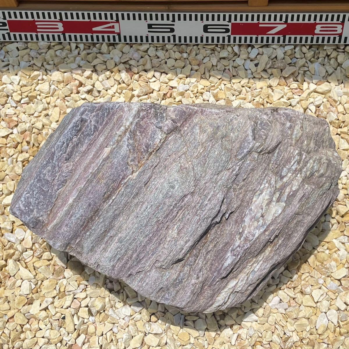 紅廉片岩 紅簾石片岩 極上 庭石 盆石 盆栽 鑑賞石 水石 ウブ石 5kg Yahoo!オークション - 紅簾石 片岩 結晶片岩 三波石 赤石 青石