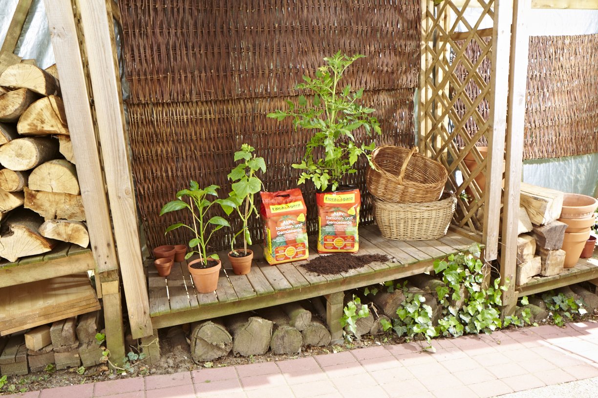 Floragard 4 x Aktiv-Tomaten-und Gemüseerde 20 Liter Blumenerde, erdfarben, 80 Liter & TKS 2 1 x 100 L - Universalerde für Gemüsepflanzen - Geheimtipp für Chilipflanzen - auch für Grünpflanzen