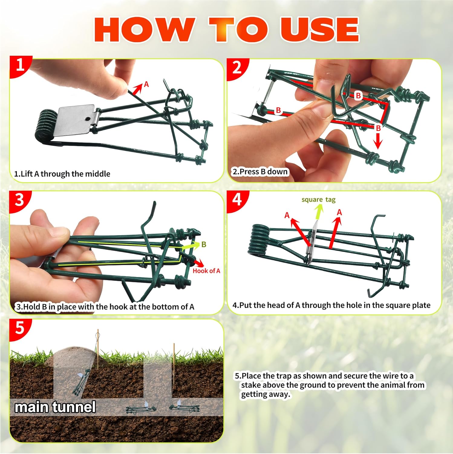 Gopher Trap with Chain 4/8 Pcs Outdoor Gopher Mole Vole Traps Killer for Lawns Easy Set (8)