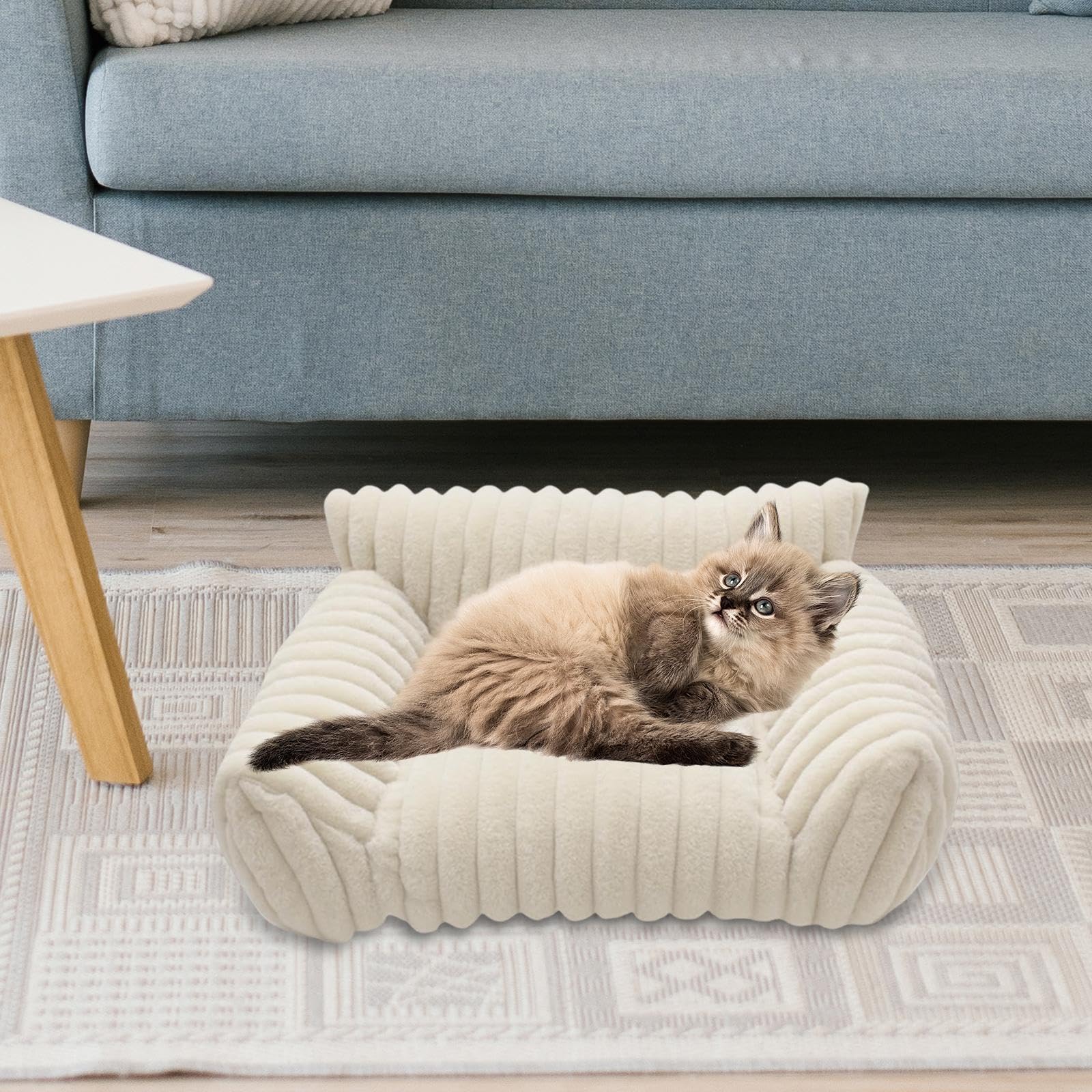Canapé-lit pour Chat, lit pour Animaux de Compagnie, Facile à Nettoyer, Portable, Fond antidérapant pour Chatons, Chiots, Chats, Petits Chiens, Salon, Blanc