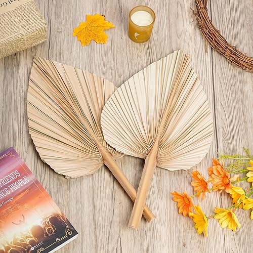 Miniatura 3 de 4 piezas de hojas de palma secas naturales en forma de corazón, abanicos de palma, hojas de palma tropicales, flores secas para vacaciones, bodas,