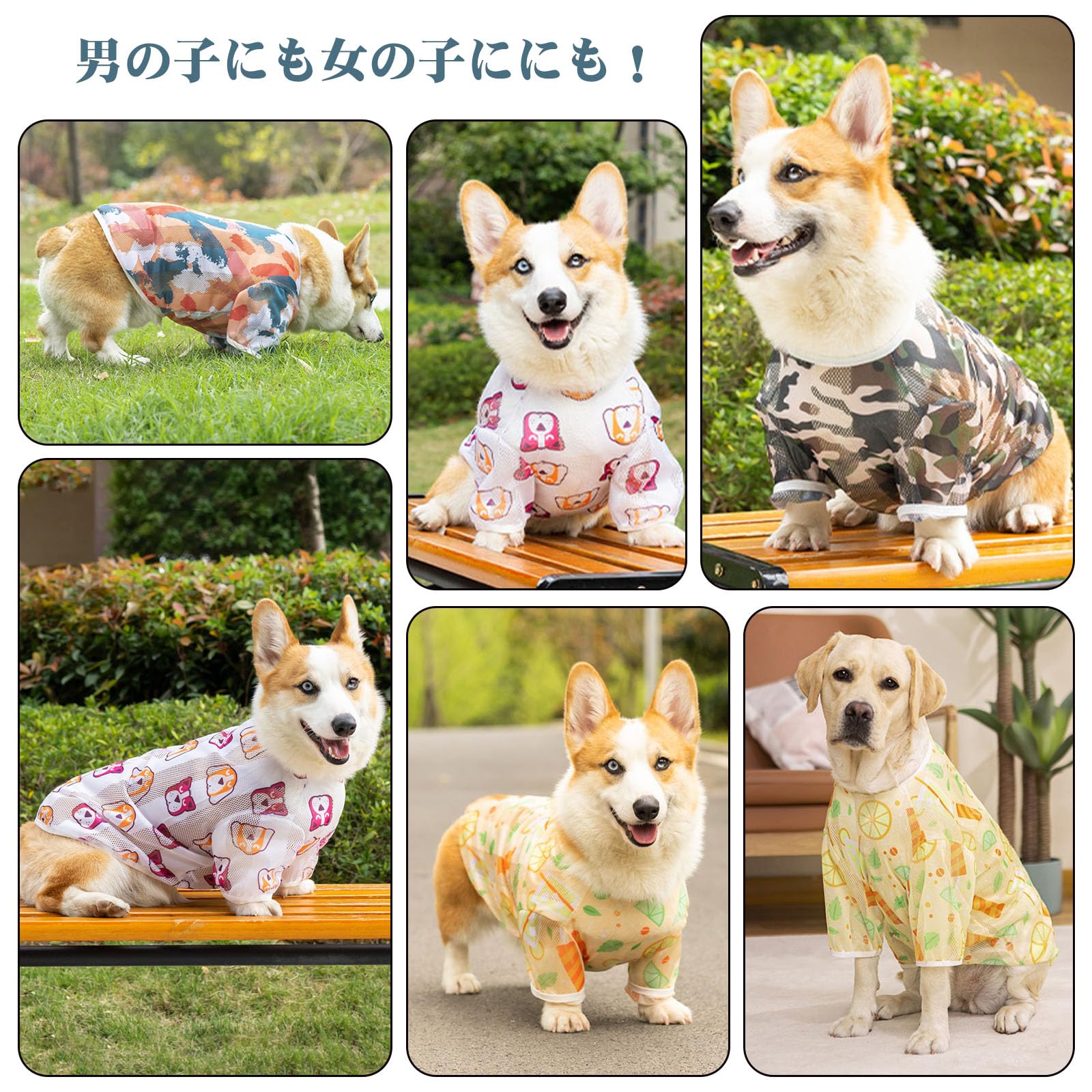 Amazon | SHUUMEEKA犬服 メッシュ シャツ 春夏 ペット服 防虫 ひんやり