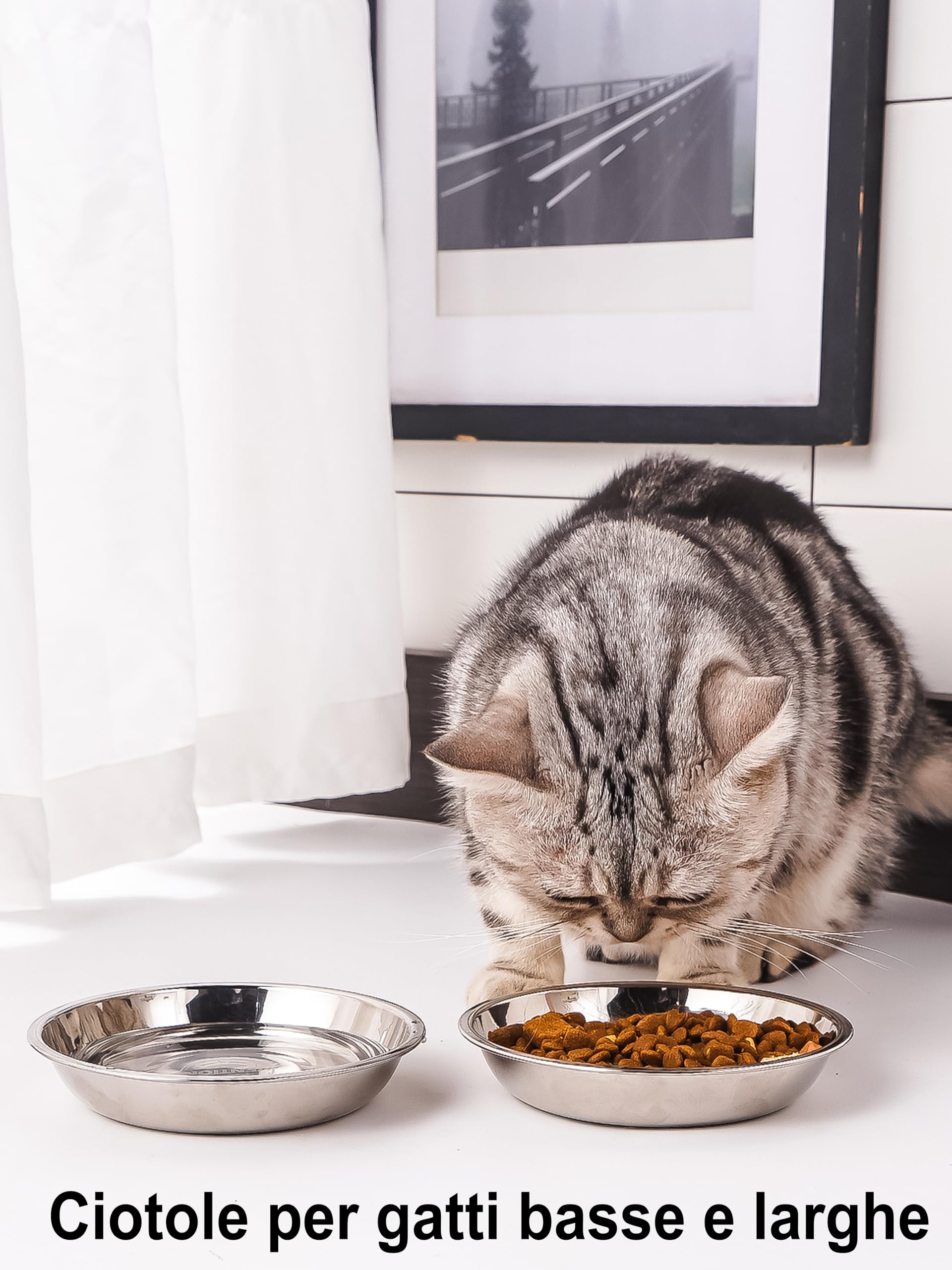 VENTION Ciotole per Gatti in Acciaio Inox Basic 320 ml, Ciotola di Cibo per Gatti Poco Profondi 14,6 cm, Set di 4 Ciotole di Sostituzione per Mangiatoie, Lavabili in Lavastoviglie