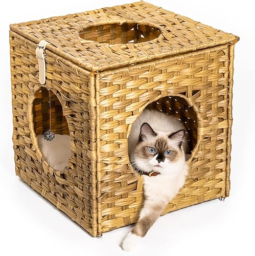Mewoo Ratten Cat House Condominio con ratán interactivo de bola colgante * 4 juguetes y cojín de algodón, cama de mimbre cerrada para gatos, trigo