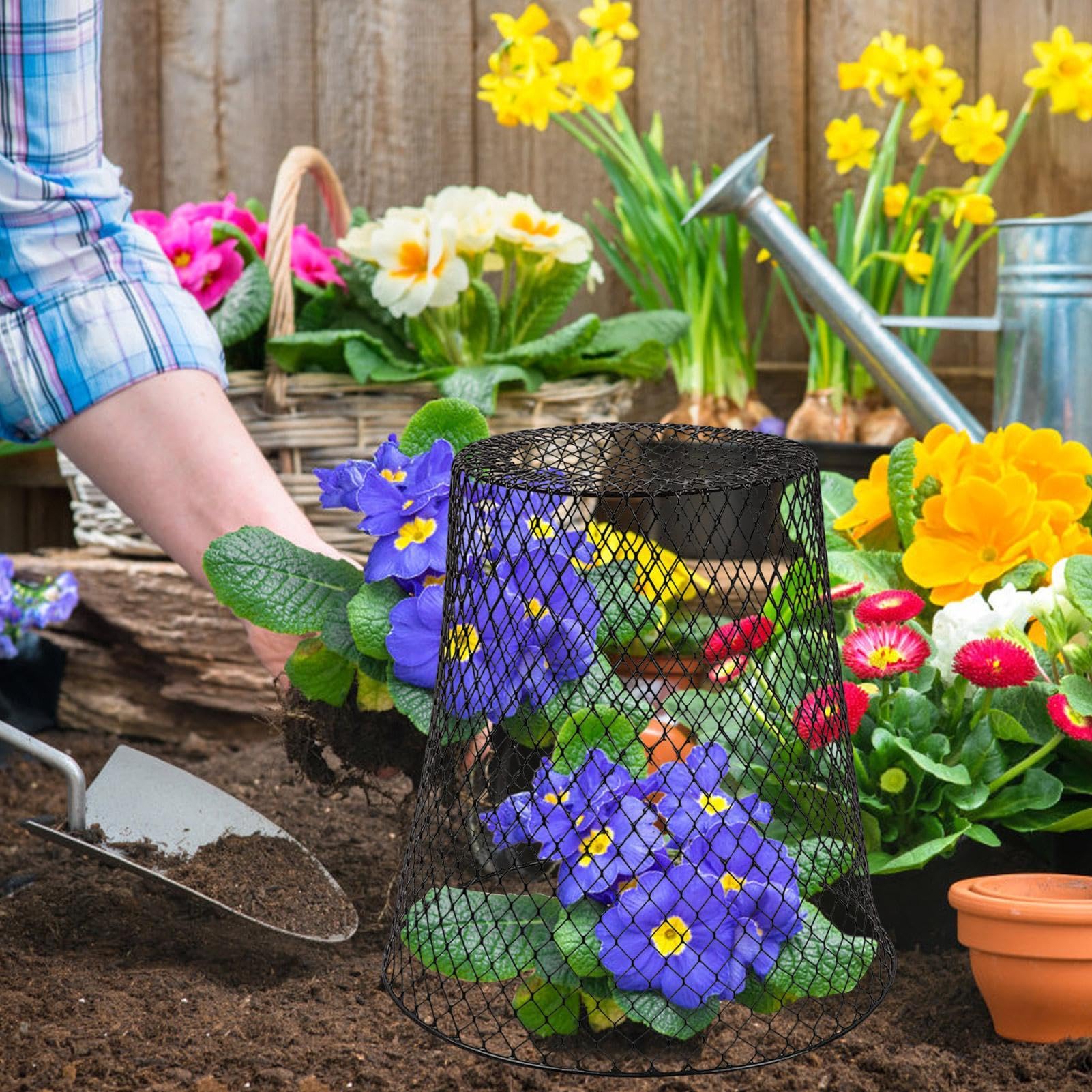 Cloches de Protection pour de Jardin 5 Pièces de Clôture Anti-Animaux en | Cloche De Protection Pour En Grillage À Poule Pour Les Légumes, Les Myrtilles, Fleurs, Et Arbustes