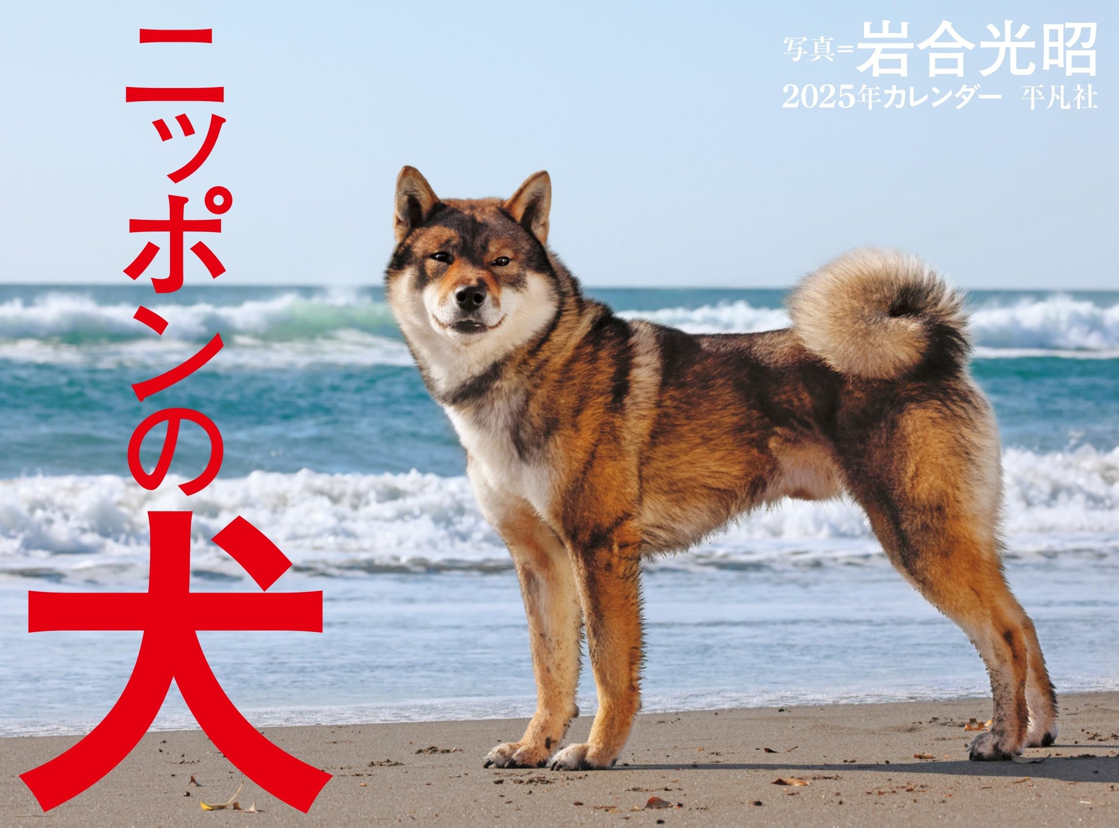 2025年カレンダー ニッポンの犬 ([カレンダー]) | 岩合 光昭 |本