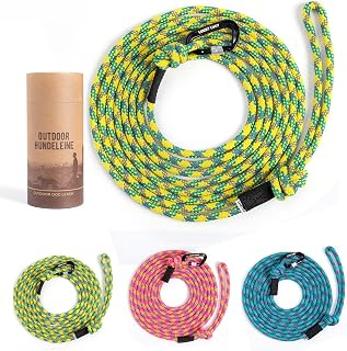 Hundeleine 5m reflektierend, robuste Hundeleine für mittel & große Hunde, Nylon Leine mit Aluminium Sicherheitskarabiner, reißfest, Anti-Zug Hundeleine, Trainingsleine, Seeblau