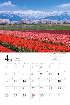 購入者限定特典あり2026 日本の花絶景 彩りあざやかな春夏秋冬カレンダー〈四季の花が織りなす絶景美〉（スマホ壁紙データ2種付き）（壁掛け / 月めくり / 大判） カレンダー