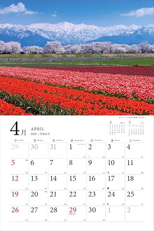 購入者限定特典あり2026 日本の花絶景 彩りあざやかな春夏秋冬カレンダー〈四季の花が織りなす絶景美〉（スマホ壁紙データ2種付き）（壁掛け / 月めくり / 大判） カレンダー