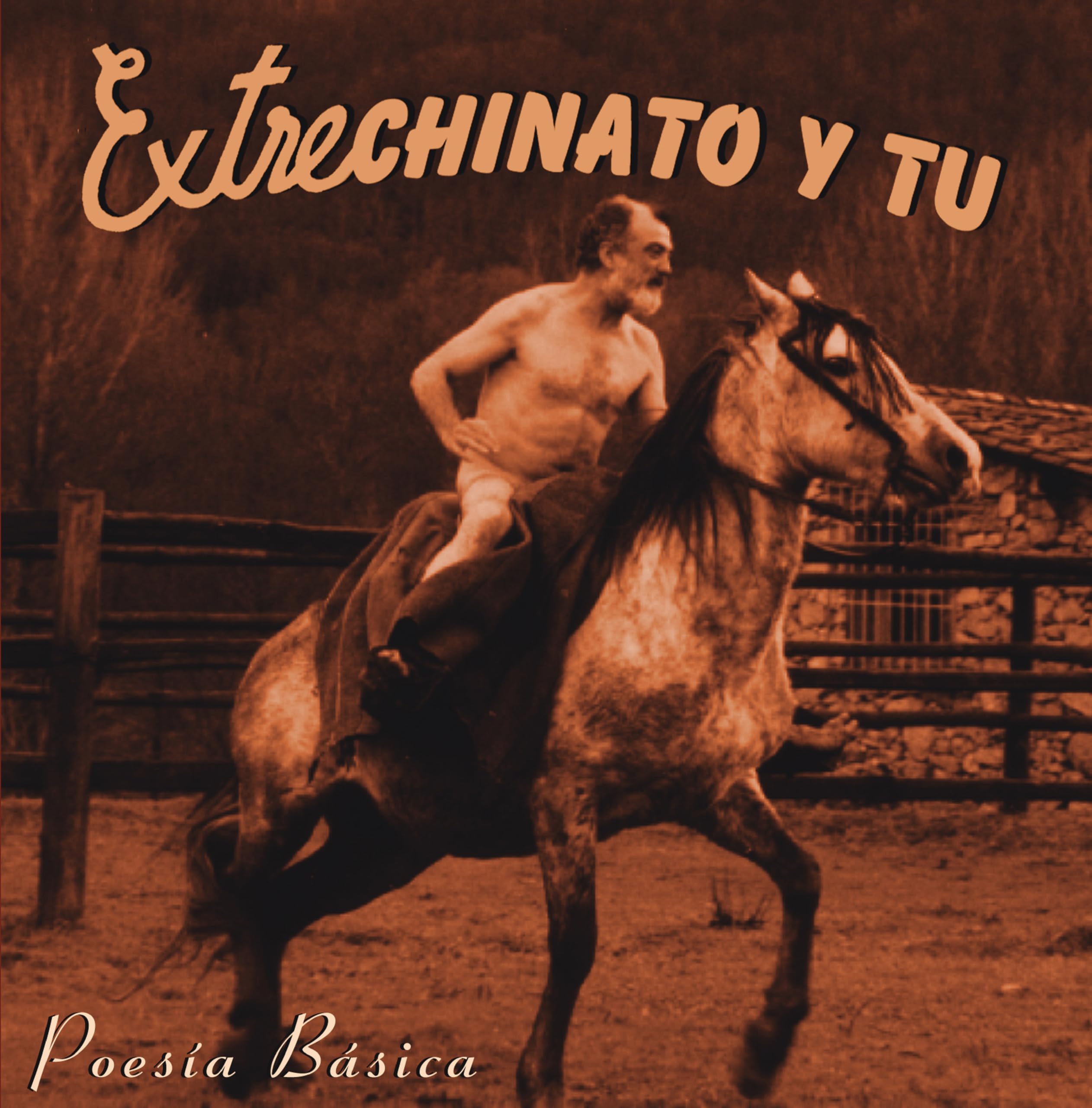 Poesía Básica (Lp-Vinilo) [Vinyl LP] [VINYL]