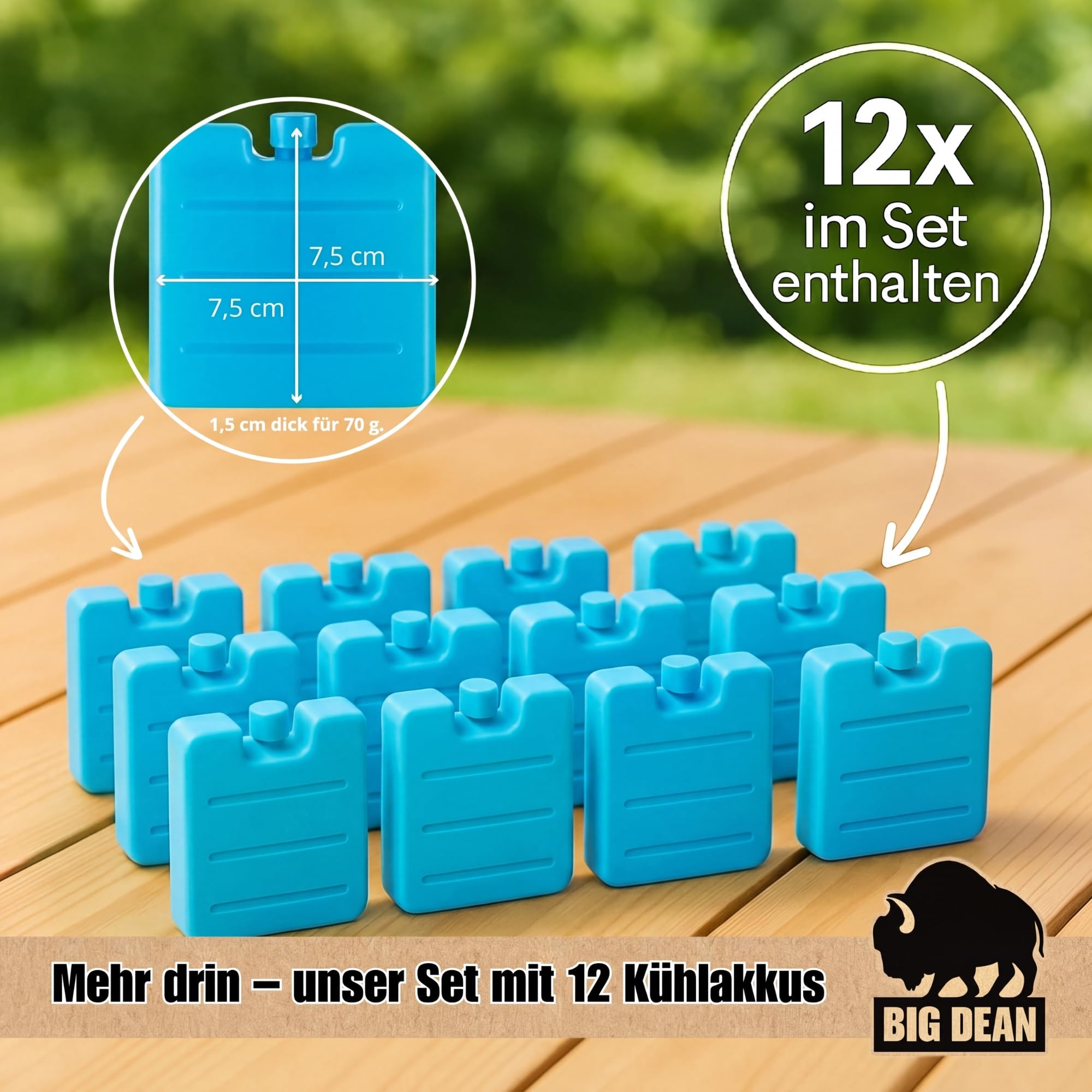 Kühlbox inkl. 12 Kühlakkus 24 Liter Kühlbox mit Akku für bis zu 11 h Kühlung
