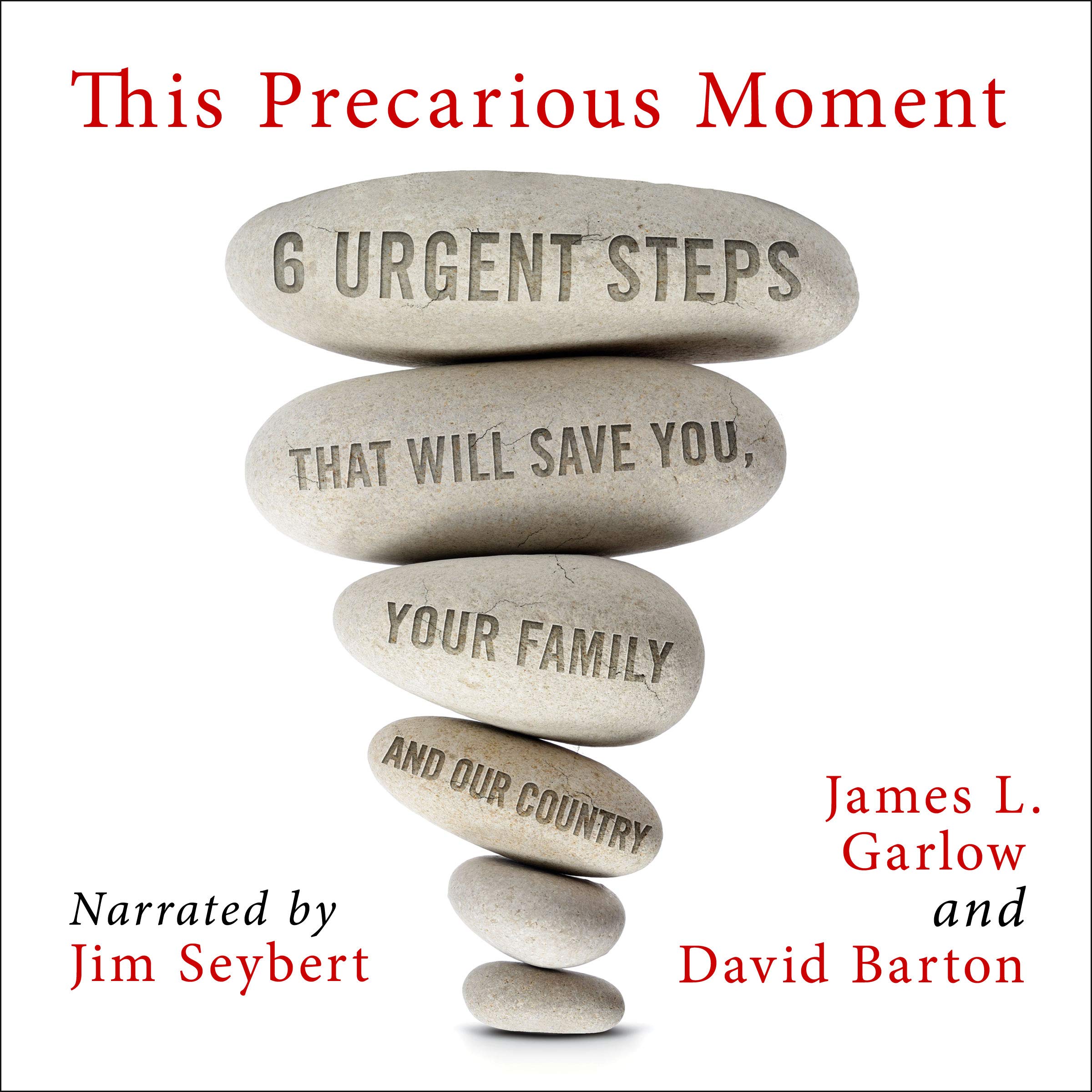 This Precarious Moment: Six Urgent Steps That Will Save You, Your Family, and Our Country