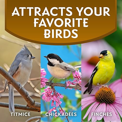 Miniatura 5 de Morning Song Sunflower Hearts & Chips - Alimento para pájaros silvestres, sin ensuciar, semillas de girasol para pájaros, bolsa de 5.5 libras