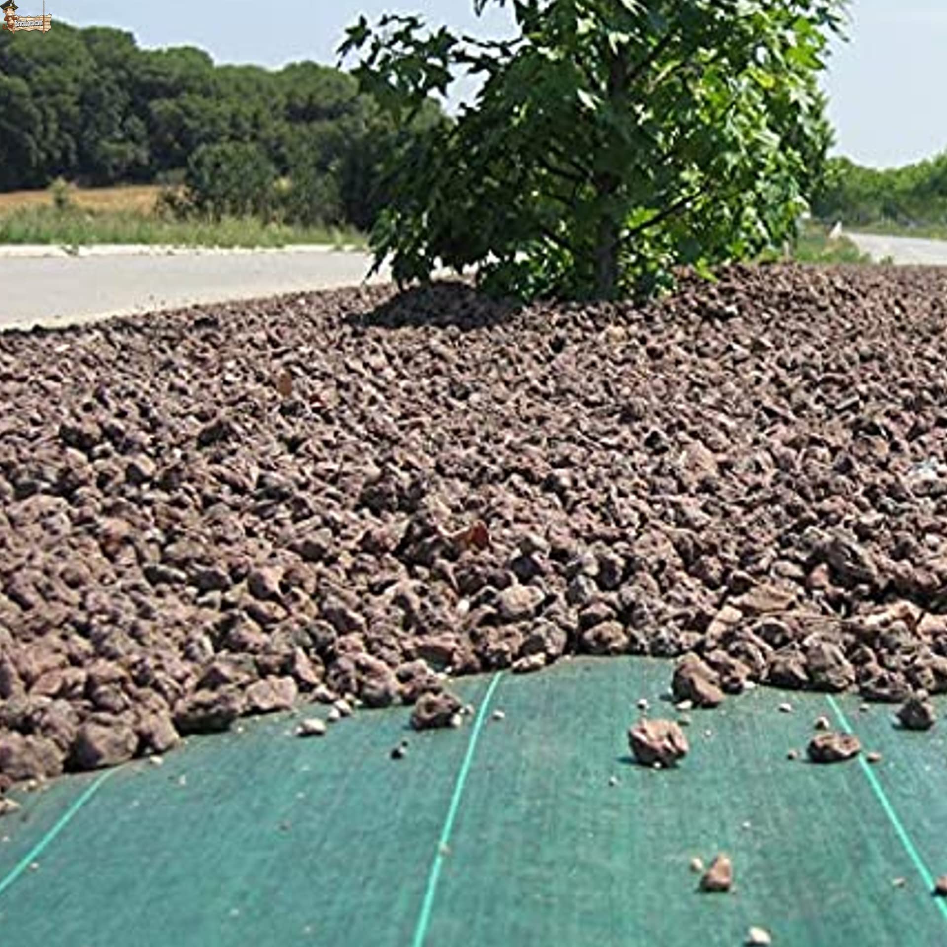 BricoLoco.com Manta Malla antihierba Verde para Agricultura, jardín, huerto,Camping, césped Artificial. 105 grs./m2. Tela en Rafia de Polipropileno 100%. (50, 1)