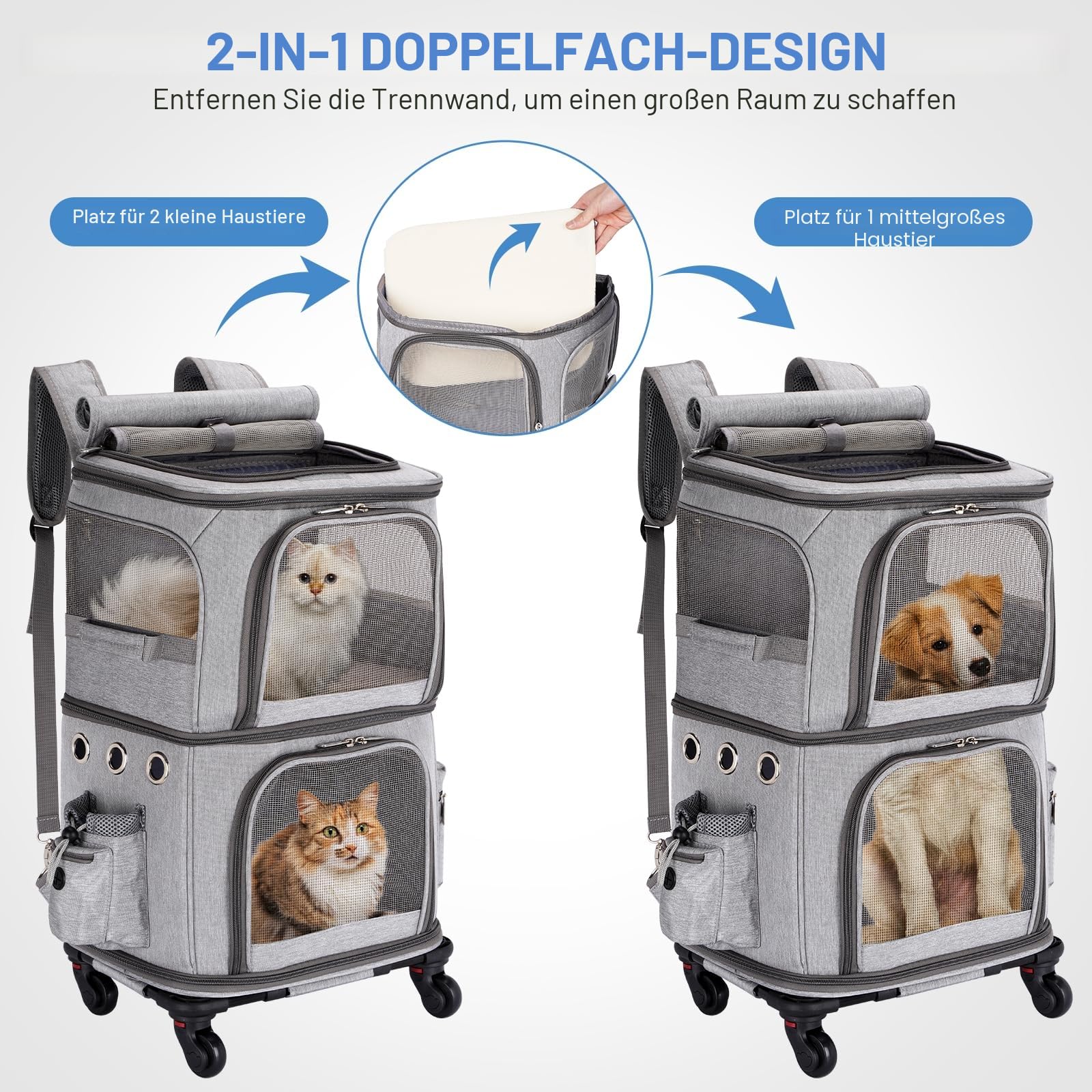 Katzentransportbox für 2 Katzen bis 12kg, Kleine Hunde Transportboxen mit Abnehmbaren Rollen, Faltbare Katzentransporttasche, Grau