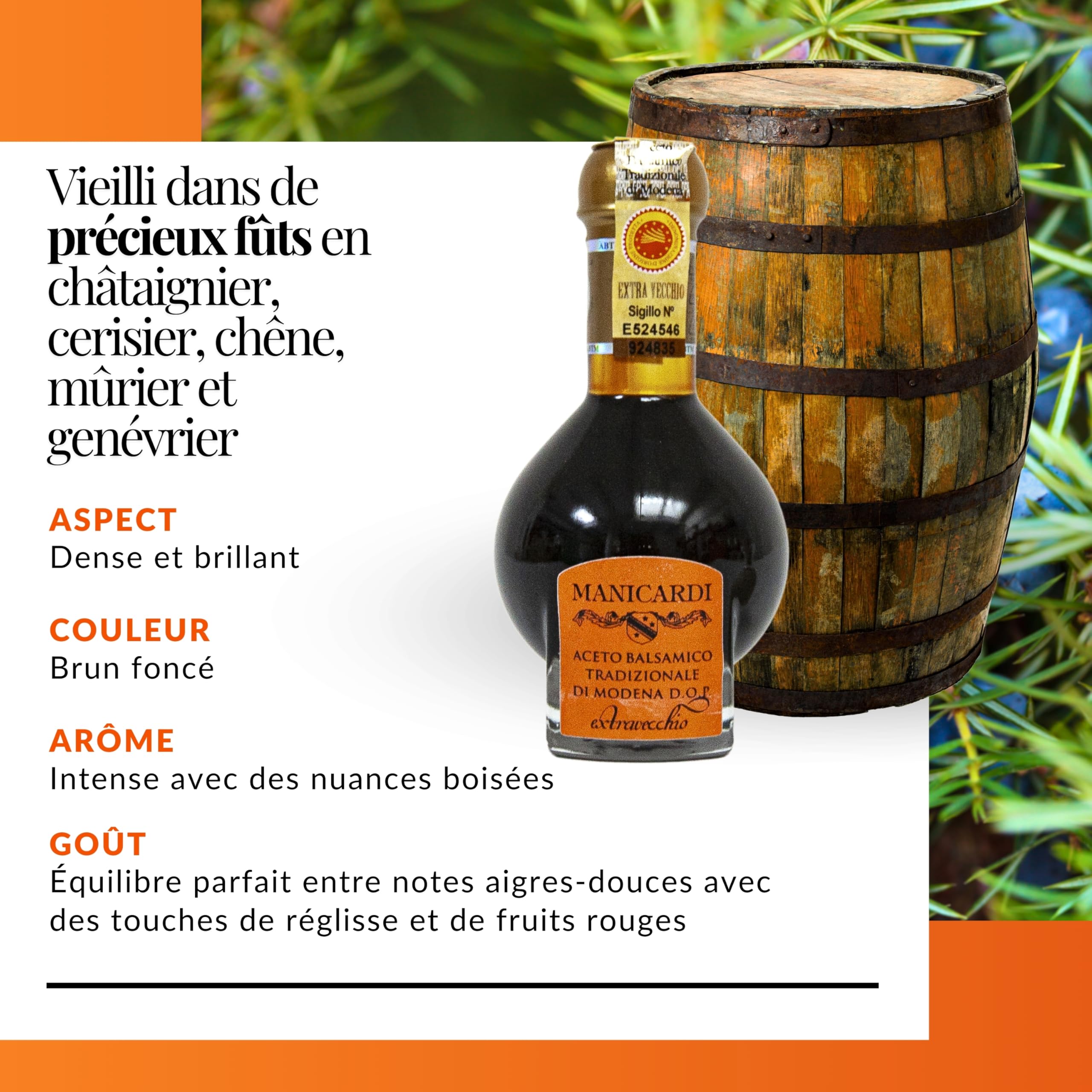 MANICARDI Vinaigre Balsamique Traditionnel de Modène AOP Extra Vieux – Vieilli 25 Ans, Parfait pour Snacks, Pâtes, Légumes, Vinaigrettes et Viandes – Produit en Italie, 100 ml