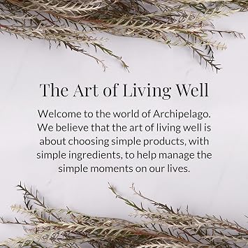 Archipelago Botanicals Black Forest Letter Press Candle, Dark Ebony Wood, Douglas Fir and Black Currant Scent, Faux Leather-Wrapped Jar, Clean Soy Wax Blend, 100 Hour Burn, 13 oz