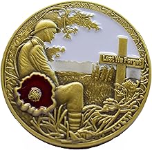 Remembrance Day Pin Badge Brooch Decorations UK Lone Soldier Veteran Gifts Pin Brooch Lest We Forget