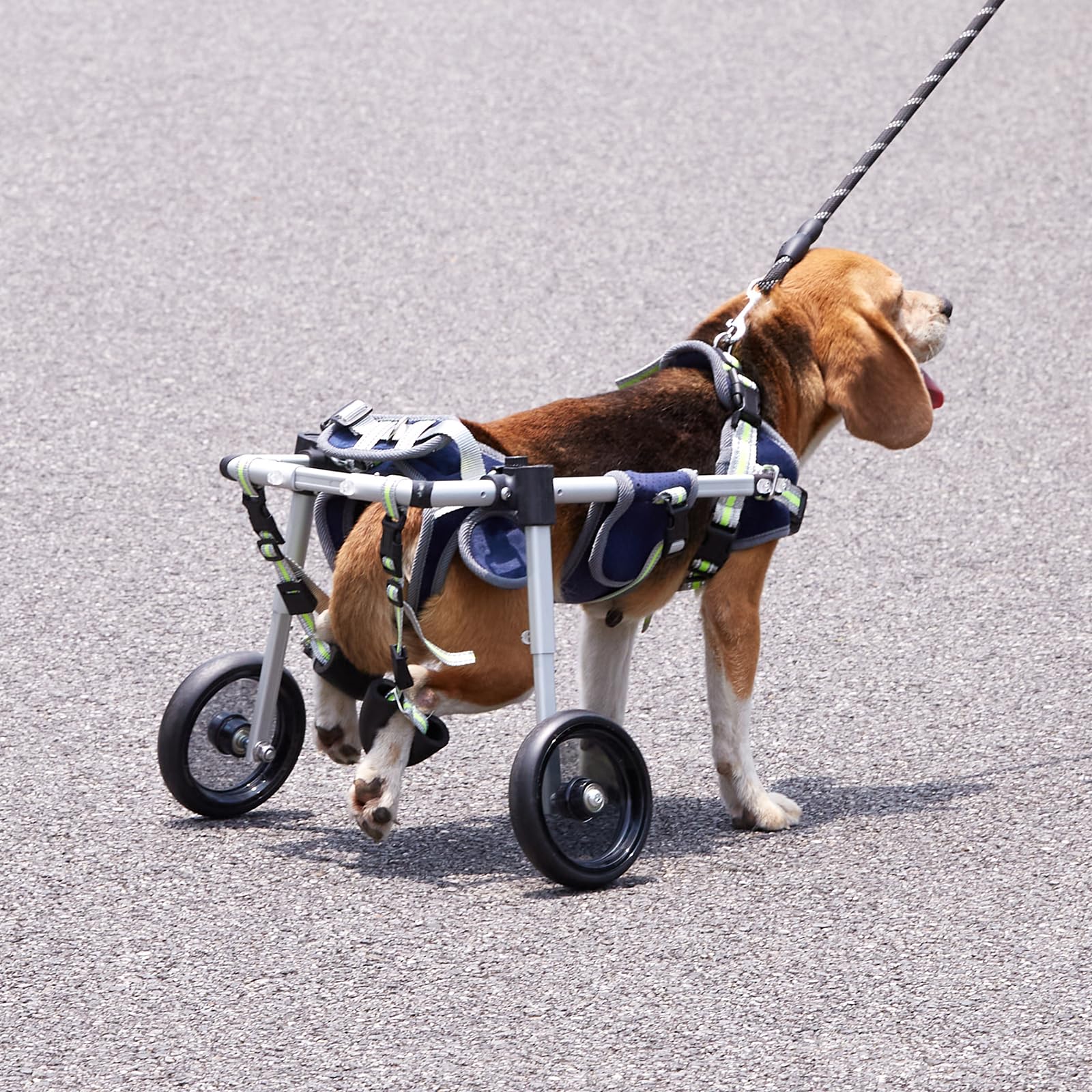 VEVOR Hunderollstuhl für Hinterbeine, Haustierrollstuhl, verstellbar, unterstützt die Heilung, Hundewagen/Rollstuhl für verletzte, behinderte, gelähmte oder an den Hinterbeinen schwache Haustiere (XS)