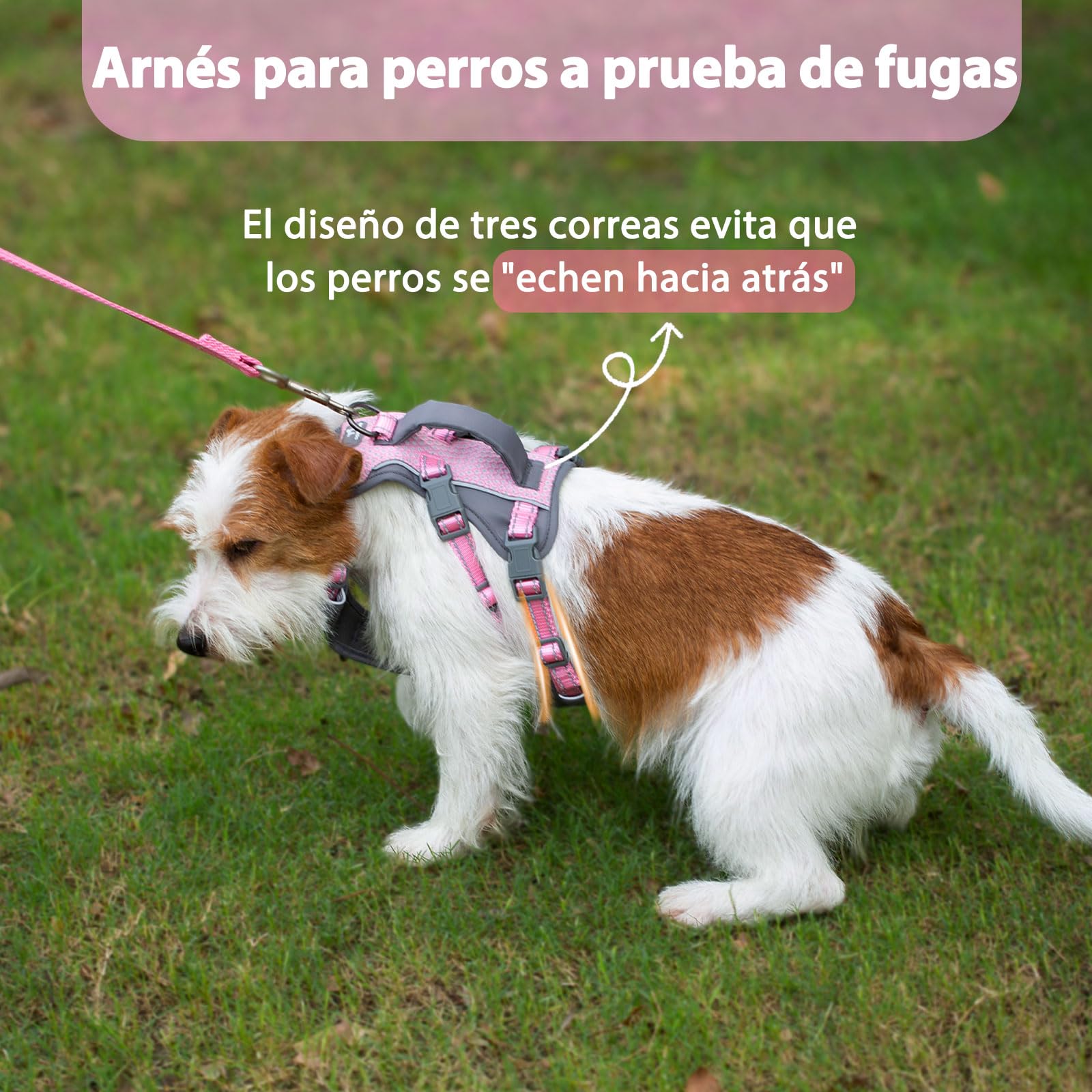 Huntboo Arnes Perro Pequeño Mediano Grande, Arnes Antiescape Perro con Asa, Reflectante Arnés Antitirones para Perros, Chaleco Transpirable y Ajustable, para Paseo y Entrenamiento (Rosa Claro,S)