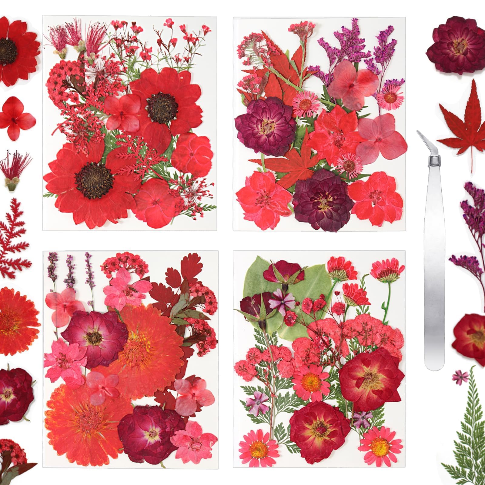 Dried Flowers for Resin Vacuum Packed DIY Pressed Flowers