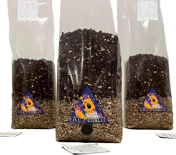 Fat Fungi Mushroom Growing Kit UK | All in One | Organic Rye Grain + CVG | Just add Spores Like Magic...
