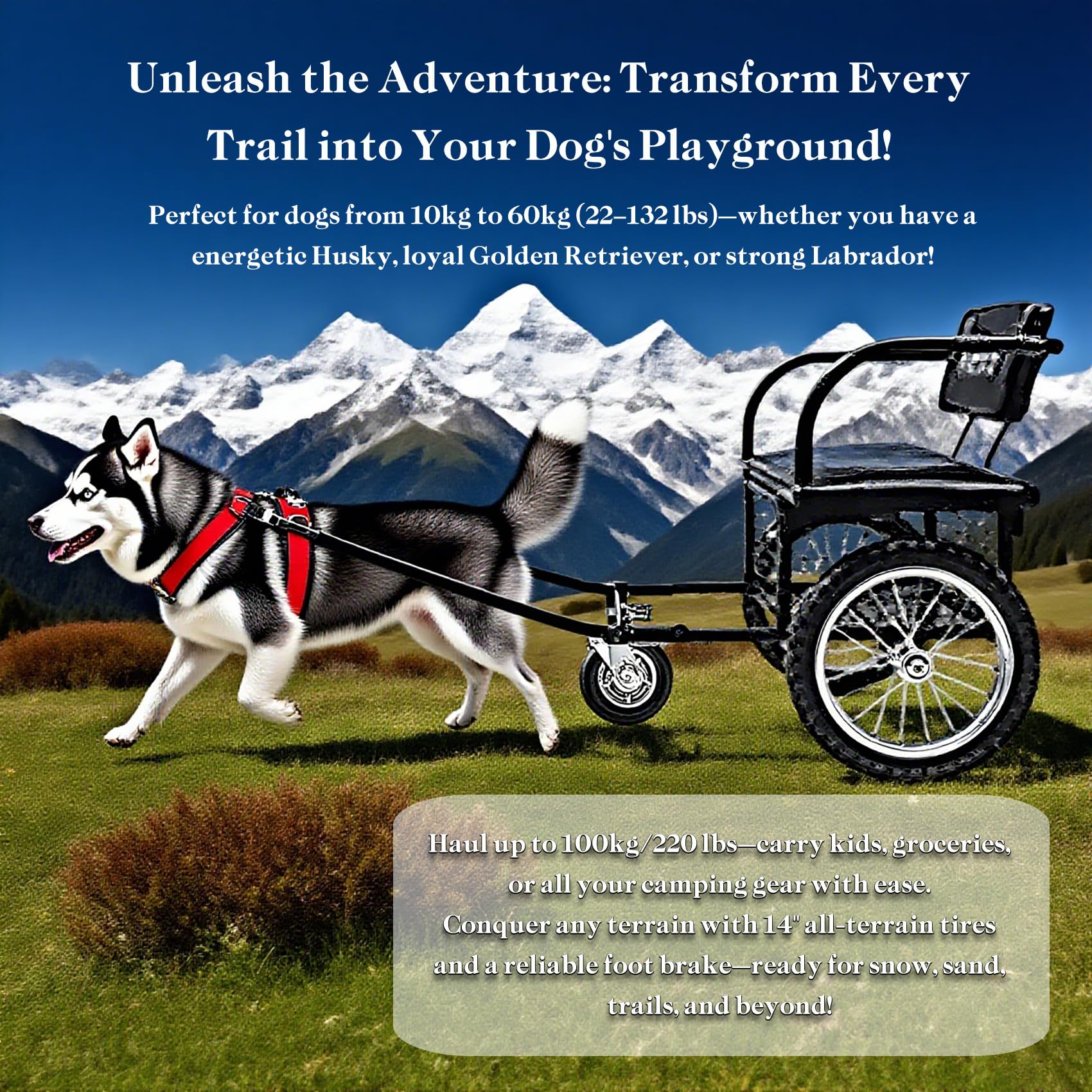 Wózek ciągnięcia psa all-terrain + hamulec pieszy, odczepianą przyczepą i siedziskiem dla psów 10-60kg (22-132lb), Z smyczą pociągową na camping, wędrówki i podróże(Size:Dog Weight 40-60kg/88-132lb)