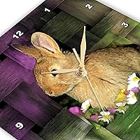 Vista 2 de 3dRose LLC Reloj de pared de conejo, 10 x 10 pulgadas