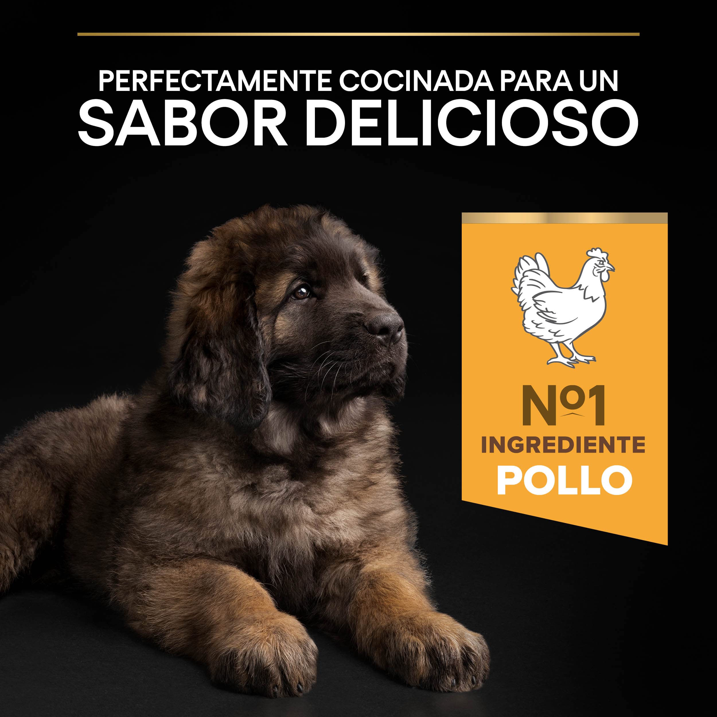 Pro Plan PURINA PRO PLAN Large Robust Puppy Healthy Start, Welpenfutter trocken, reich an Huhn, 1er Pack (1 x 12 kg)