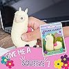 Product Photo 2