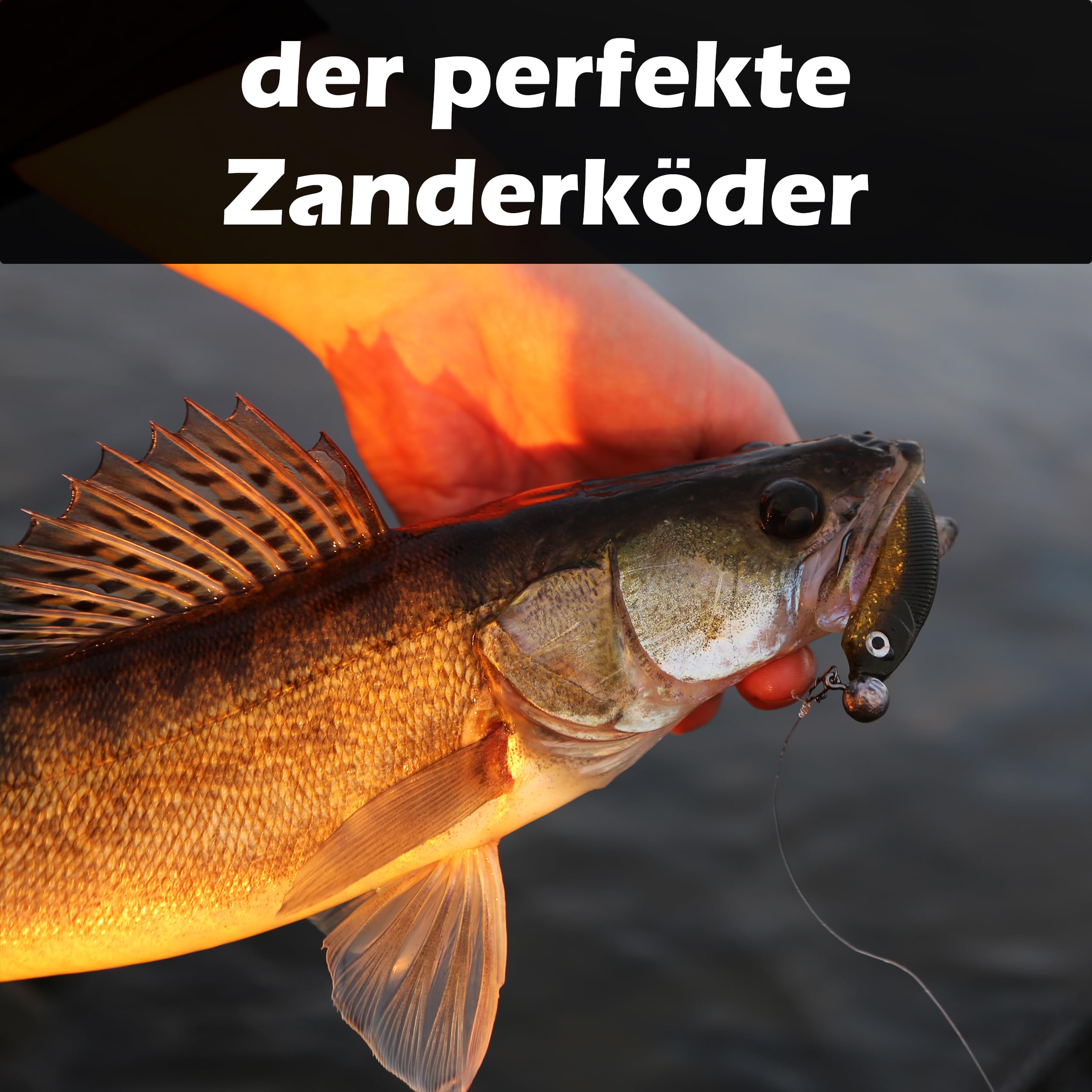 Paradox Fishing Gumowe ryby 7,5 cm, 10 cm, 13 cm, przynęta na sandacze, gumowe ryby, zestaw przynęt na okonie - idealna do okoni i sandaczy