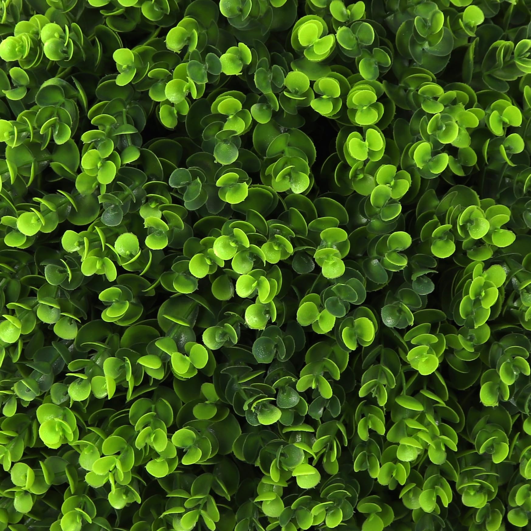 Bornbridge Artificial Boxwood Topiary Ball Tree - 4' Boxwood Ball Tree - Indoor/Outdoor Topiary Trees - Boxwood Artificial Outdoor Plants - Lifelike Wintergreen Boxwood Plant (2 Pack)