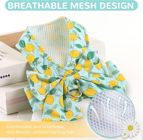 Miniatura 3 de Juego de arnés y correa para perro con nudo de lazo, arnés floral de margarita con anillo en D, juego de arnés de malla suave para perro, arnés a