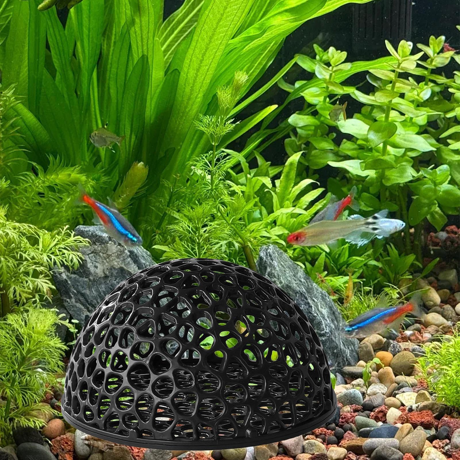 Generico Nascondiglio Pesci Gamberetti, 10X5CM Emisfero Gamberetti per Acquario, Grotte Cave Acquario con Base Divisa, Resistente Agli Urti Nascondigli Acquarios, per Accessori Acquari
