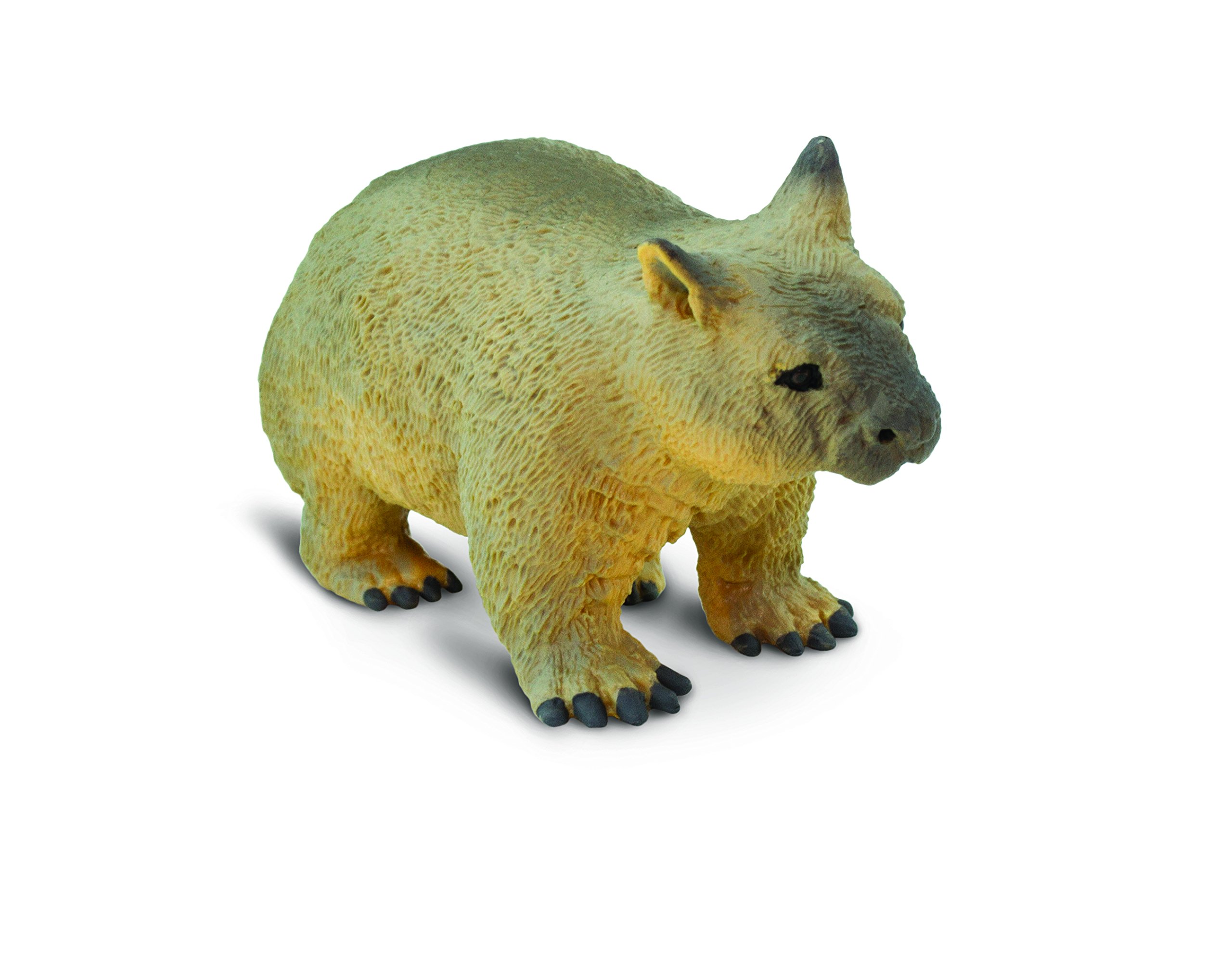 Safari Ltd. Wombat Animals, Multicoloured (S226229)