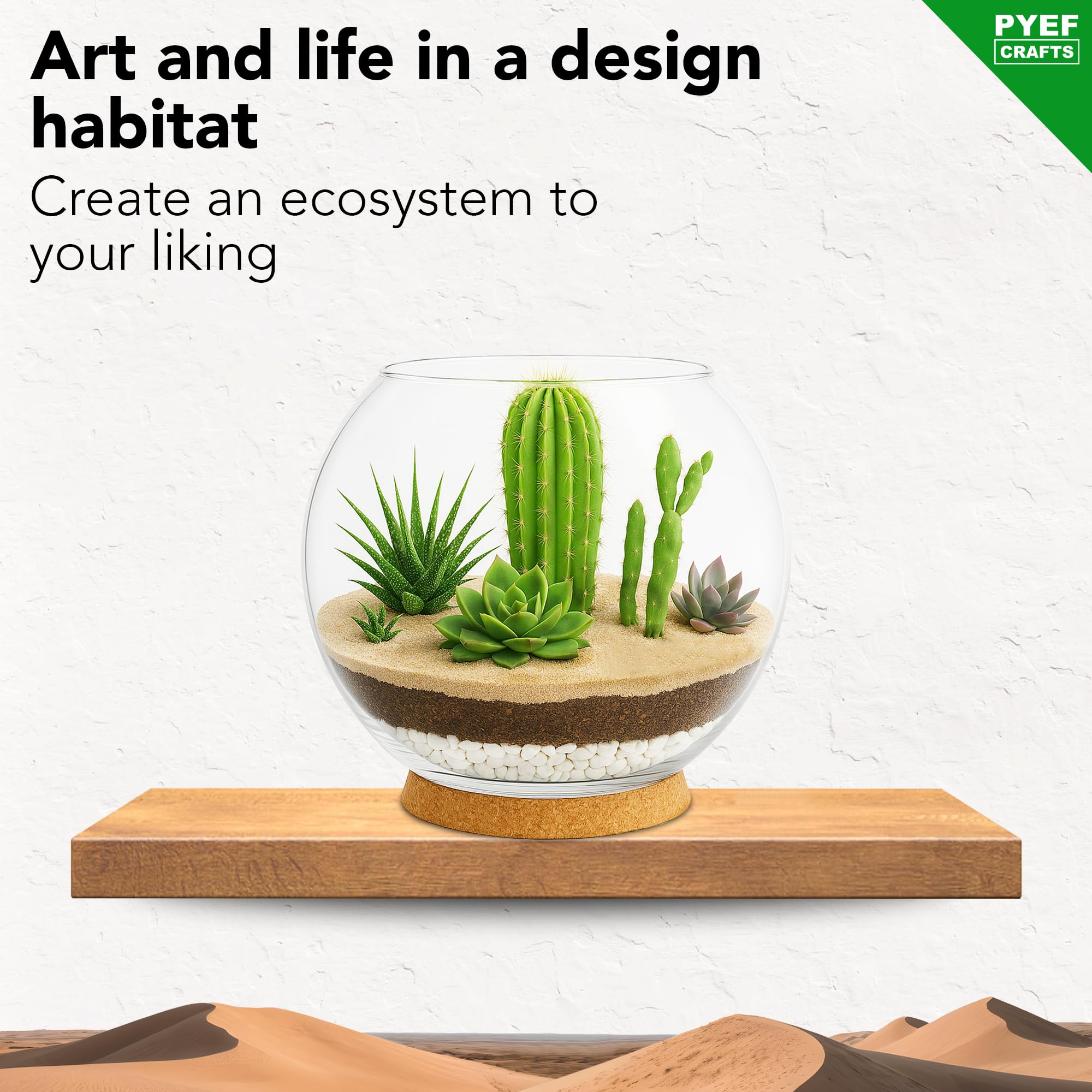 Zestaw do terrarium DIY dla sukulentów i kaktusów – zestaw startowy ze szklaną miską w zestawie – stwórz własny zestaw terrarium ze słoikiem, piaskiem, ziemią, węglem drzewnym, kamieniami